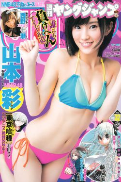 铁核桃电视剧