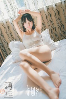 百炼飞升录