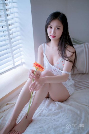 灯花笑千山茶客笑全文免费阅读