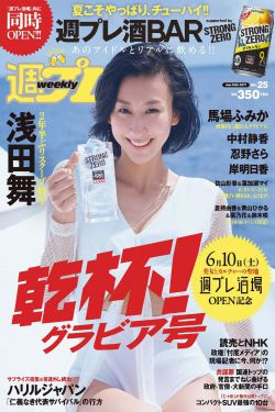 完美的她