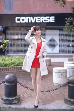 柜中美人电视剧