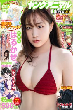 似锦在线观看