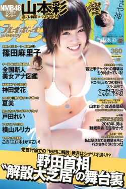 苏轼水调歌头
